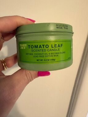 Trader Joe's Tomato Leaf Scented Candle - Green